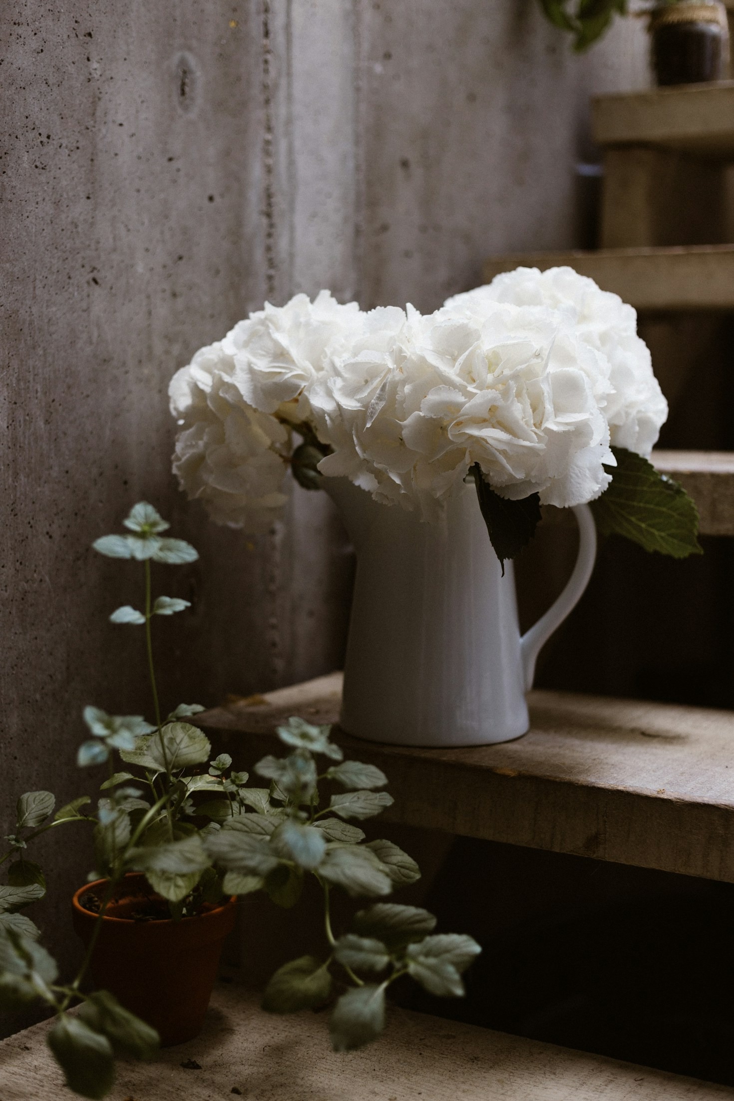 The Art of Mixing Modern and Shabby Chic Styles